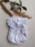Ranita Primavera